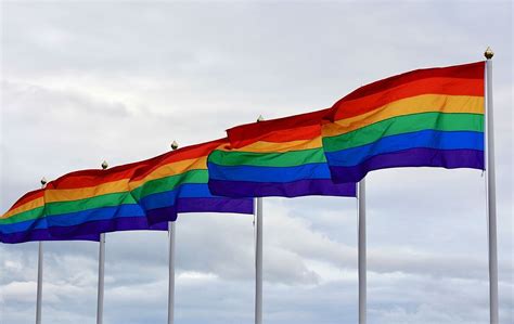 colores bandera gay|Qué significan los colores de la bandera LGBTIQ+ y。